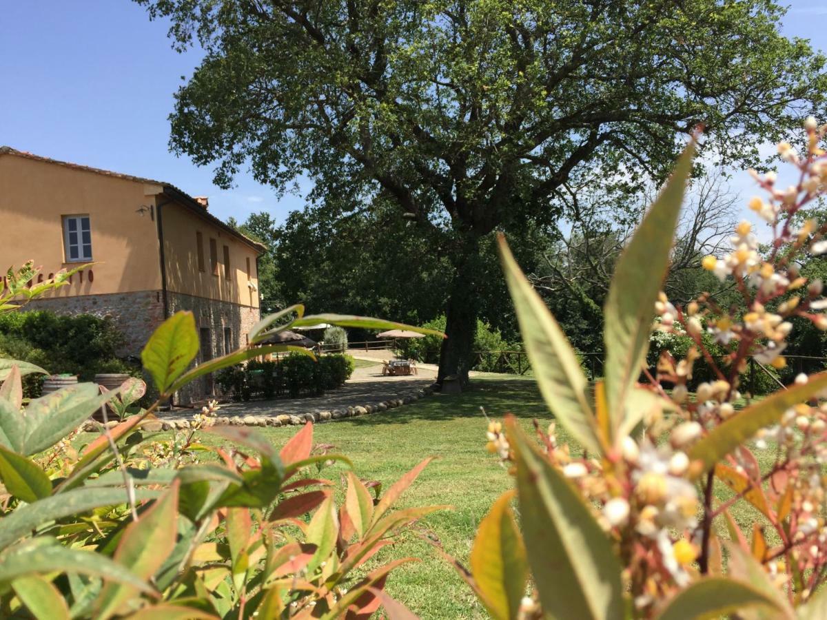 Agriturismo Pieve De Pitti Terricciola Exteriér fotografie