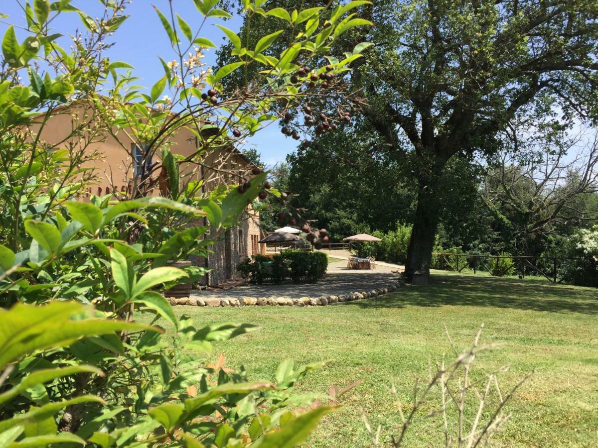 Agriturismo Pieve De Pitti Terricciola Exteriér fotografie