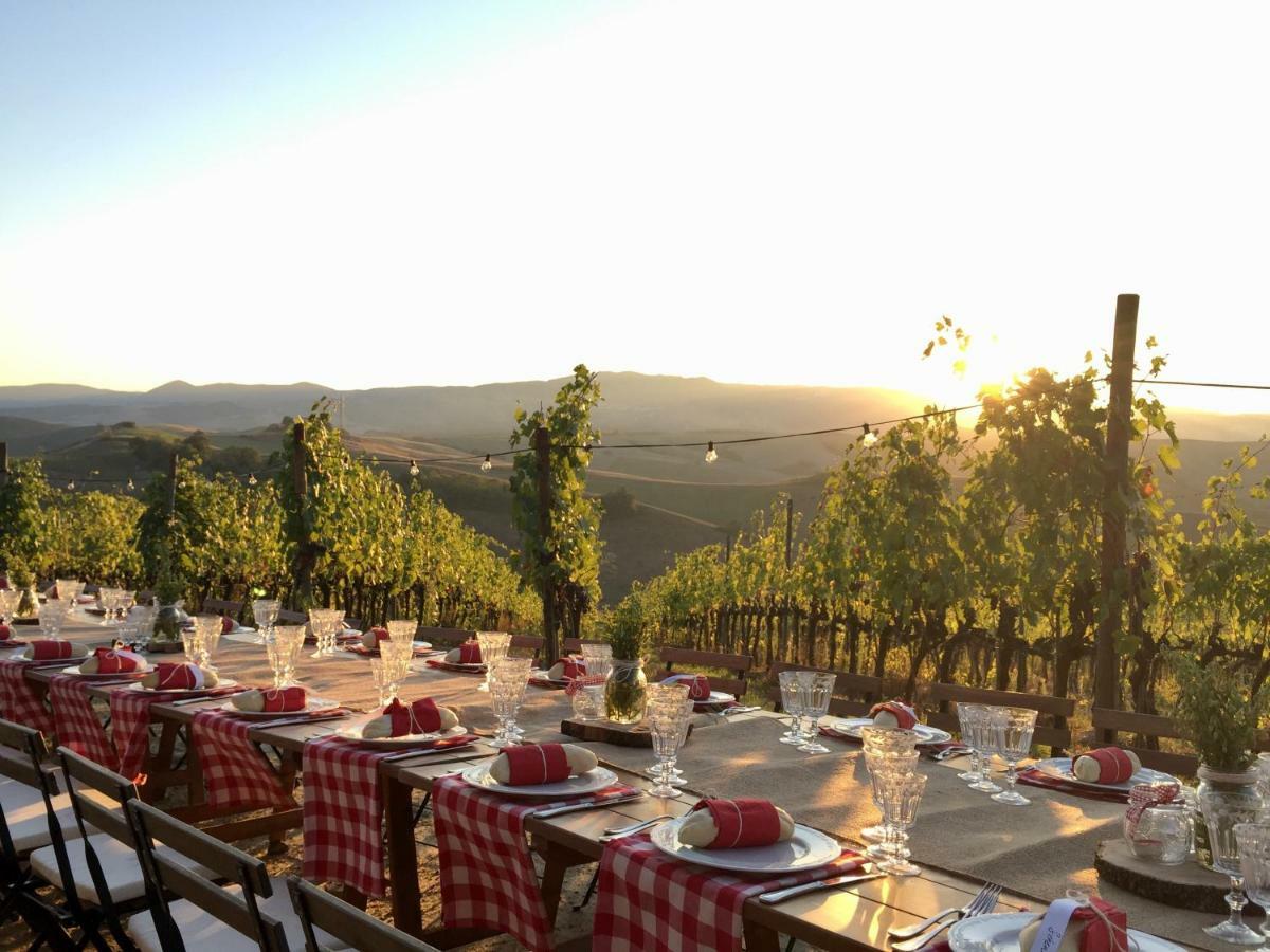 Agriturismo Pieve De Pitti Terricciola Exteriér fotografie