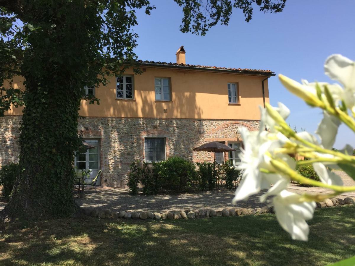 Agriturismo Pieve De Pitti Terricciola Exteriér fotografie