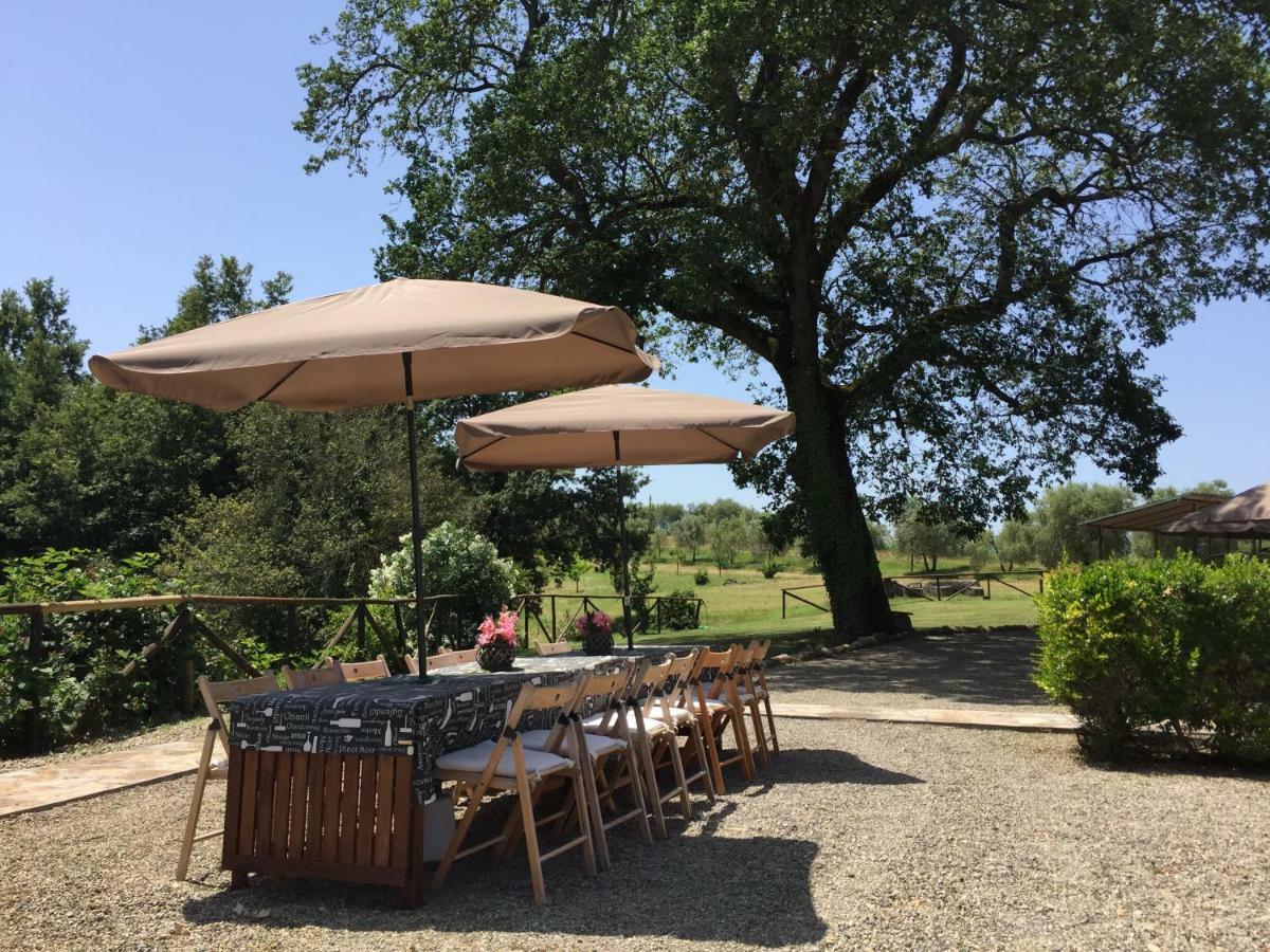 Agriturismo Pieve De Pitti Terricciola Exteriér fotografie