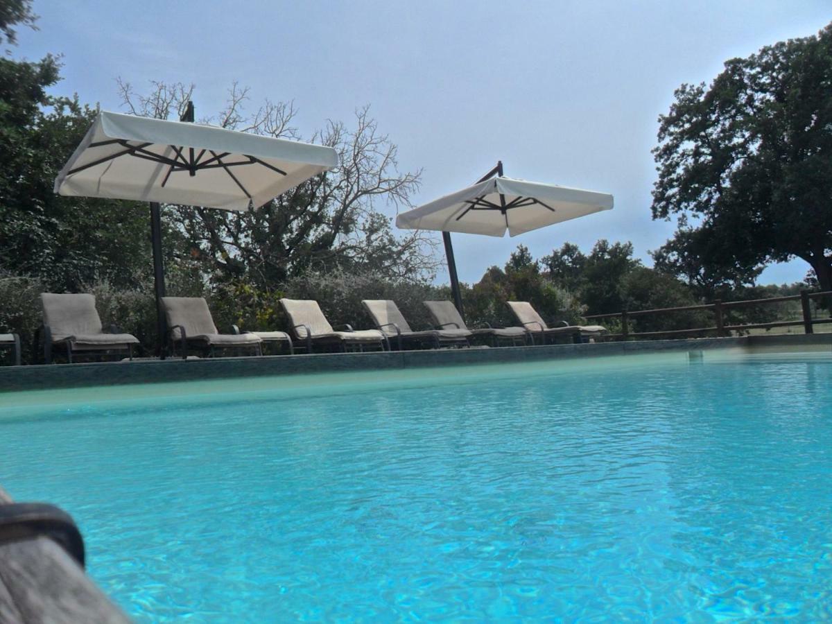 Agriturismo Pieve De Pitti Terricciola Exteriér fotografie